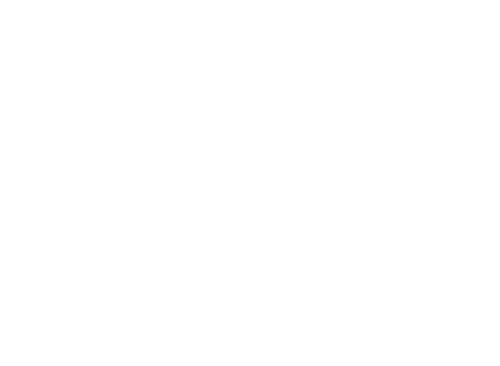 logo chanel dyna-grip
