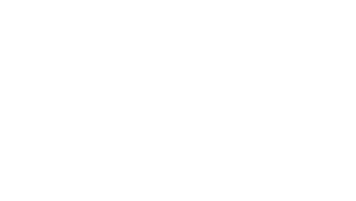 logo renault dyna-grip
