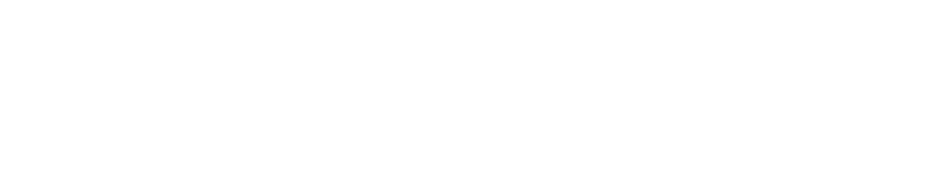 logo canalplus dyna-grip